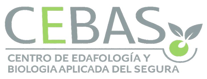 CEBAS-sin-fondo (2)